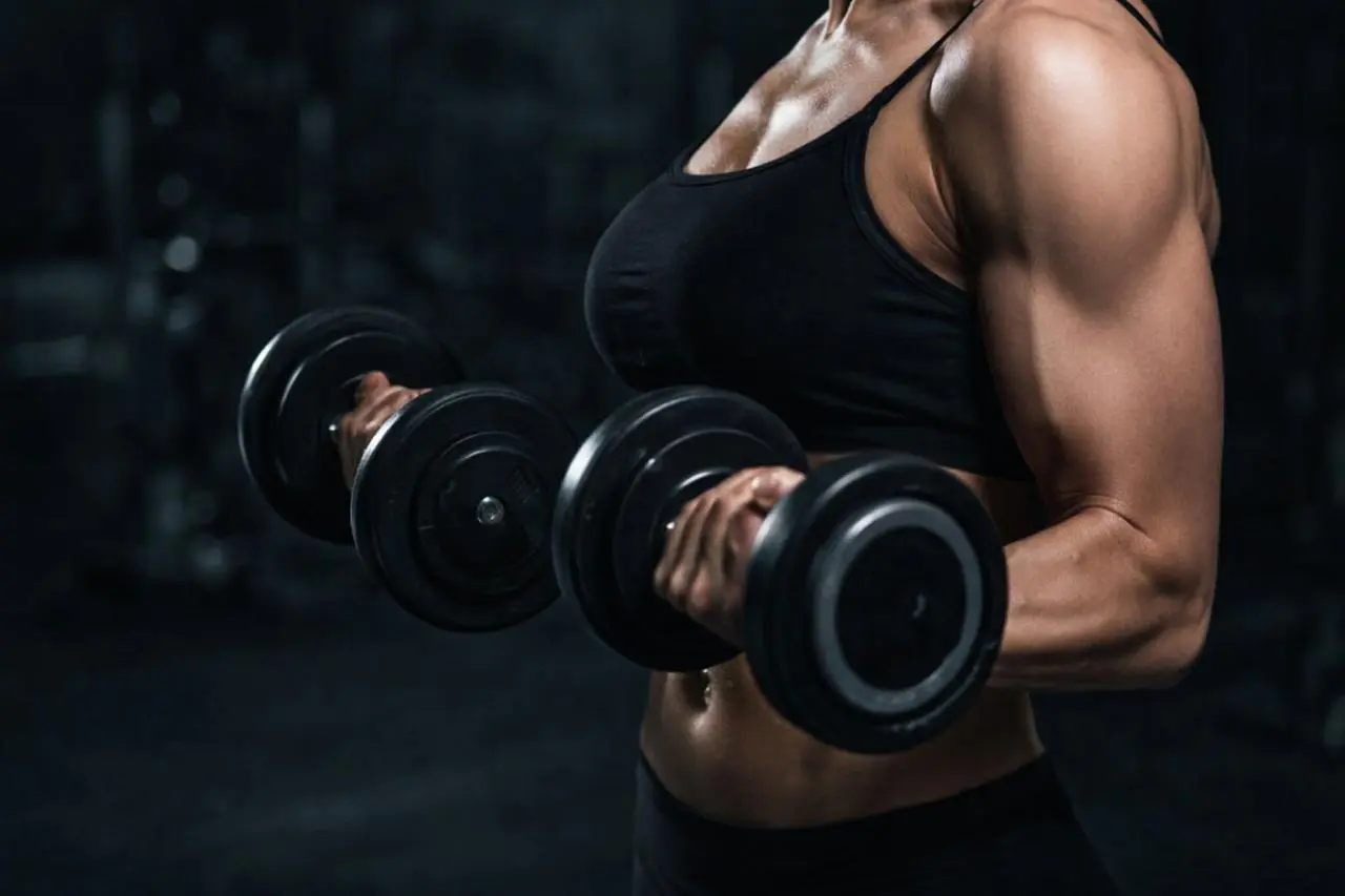 Treinos Online de Musculação - On Treino