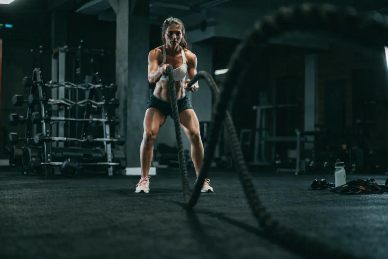 Treinos Online de Musculação - On Treino